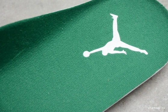 CT8527-113 Air  4 Retro Green Jordan Metallic CT8527-113 0225